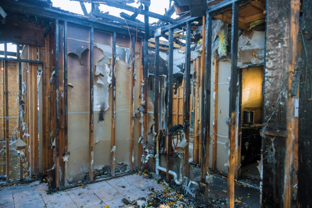 Professional Smoke Damage Removal technician working in Magnolia, TX